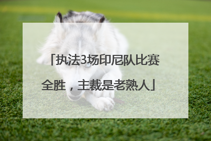 执法3场印尼队比赛全胜，主裁是老熟人