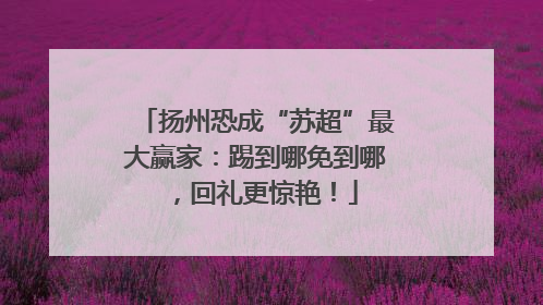 扬州恐成“苏超”最大赢家：踢到哪免到哪，回礼更惊艳！