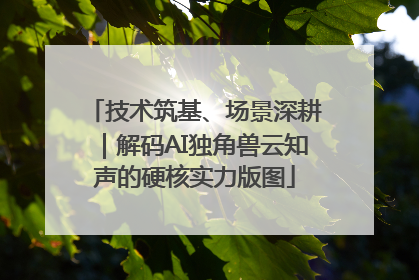 技术筑基、场景深耕｜解码AI独角兽云知声的硬核实力版图