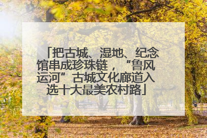 把古城、湿地、纪念馆串成珍珠链，“鲁风运河”古城文化廊道入选十大最美农村路