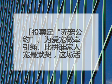 投票定“养宠公约”、为爱宠做牵引绳、比拼谁家人宠最默契，这场活动有趣更有意义