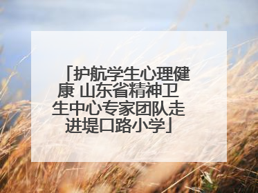 护航学生心理健康 山东省精神卫生中心专家团队走进堤口路小学