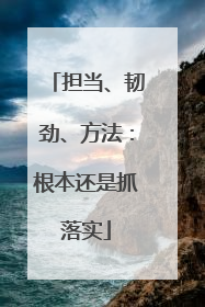 担当、韧劲、方法：根本还是抓落实