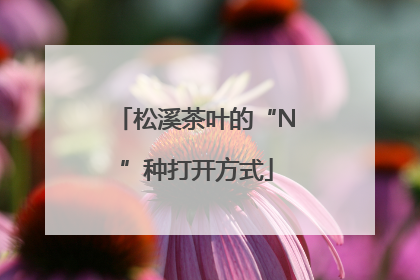 松溪茶叶的“N”种打开方式