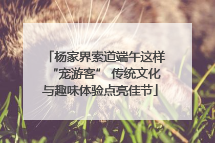 杨家界索道端午这样“宠游客” 传统文化与趣味体验点亮佳节