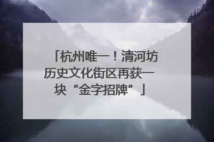 杭州唯一！清河坊历史文化街区再获一块“金字招牌”