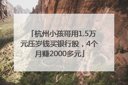 杭州小孩哥用1.5万元压岁钱买银行股，4个月赚2000多元