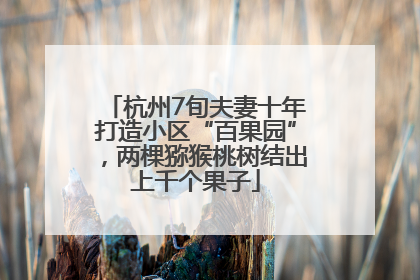 杭州7旬夫妻十年打造小区“百果园”，两棵猕猴桃树结出上千个果子