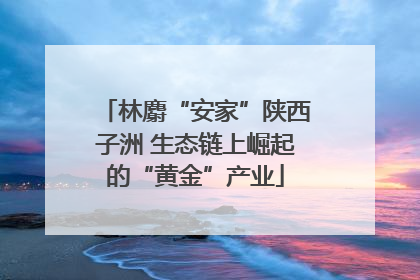 林麝“安家”陕西子洲 生态链上崛起的“黄金”产业