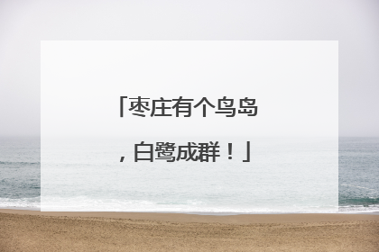 枣庄有个鸟岛，白鹭成群！