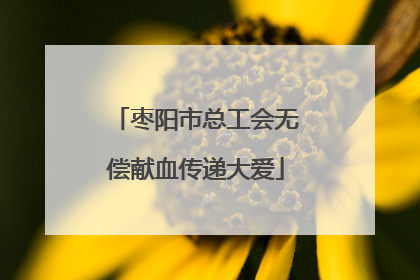 枣阳市总工会无偿献血传递大爱