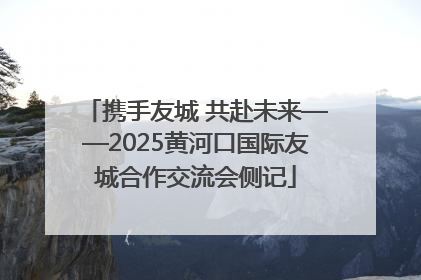 携手友城 共赴未来——2025黄河口国际友城合作交流会侧记