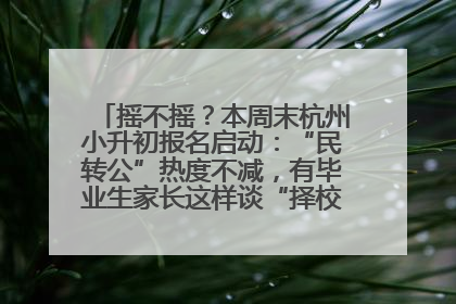 摇不摇？本周末杭州小升初报名启动：“民转公”热度不减，有毕业生家长这样谈“择校真相”……