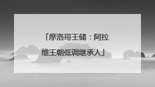 摩洛哥王储：阿拉维王朝低调继承人