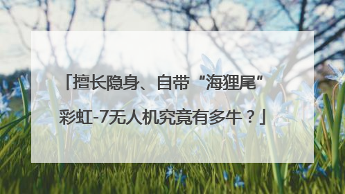 擅长隐身、自带“海狸尾” 彩虹-7无人机究竟有多牛？
