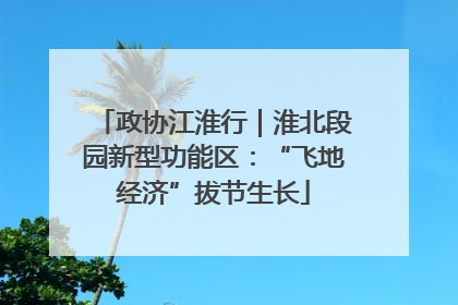 政协江淮行｜淮北段园新型功能区：“飞地经济”拔节生长