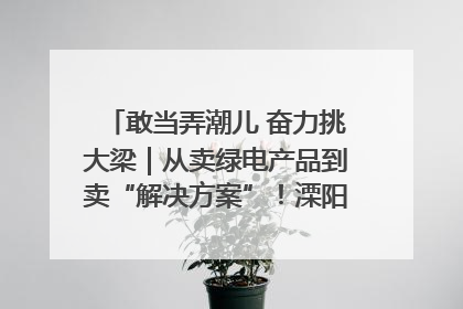 敢当弄潮儿 奋力挑大梁｜从卖绿电产品到卖“解决方案”！溧阳立足产业优势建成五大微电网示范项目