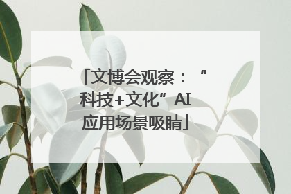 文博会观察：“科技+文化”AI应用场景吸睛