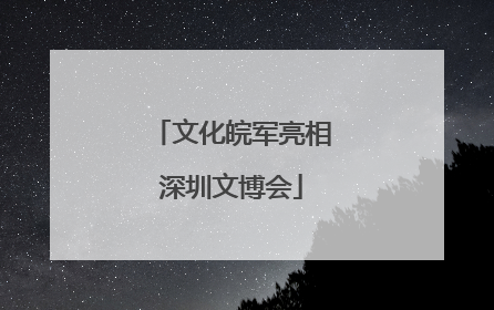 文化皖军亮相深圳文博会