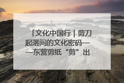 文化中国行｜剪刀起落间的文化密码——东营剪纸“剪”出非遗传承与现代生活的融合之道