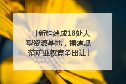 新疆建成18处大型资源基地，福建规范矿业权竞争出让