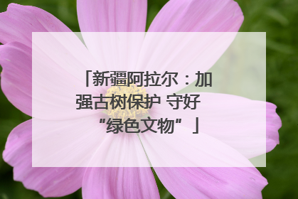 新疆阿拉尔：加强古树保护 守好“绿色文物”