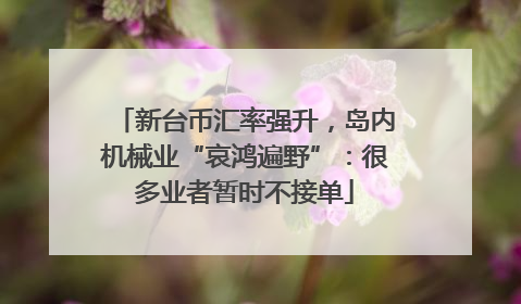 新台币汇率强升，岛内机械业“哀鸿遍野”：很多业者暂时不接单