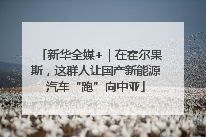 新华全媒+｜在霍尔果斯，这群人让国产新能源汽车“跑”向中亚