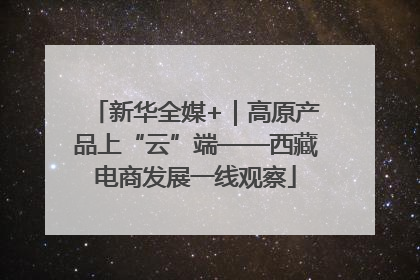 新华全媒+｜高原产品上“云”端——西藏电商发展一线观察