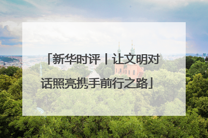 新华时评丨让文明对话照亮携手前行之路