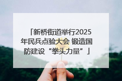新桥街道举行2025年民兵点验大会 锻造国防建设“拳头力量”