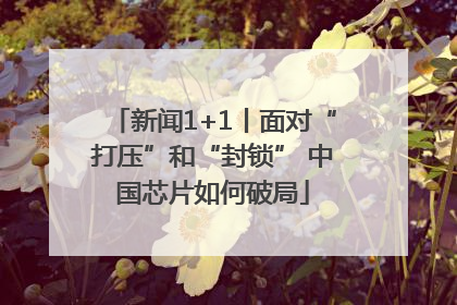 新闻1+1丨面对“打压”和“封锁” 中国芯片如何破局