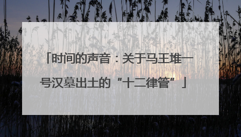 时间的声音：关于马王堆一号汉墓出土的“十二律管”