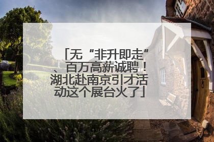 无“非升即走”、百万高薪诚聘！湖北赴南京引才活动这个展台火了