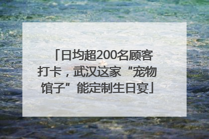 日均超200名顾客打卡，武汉这家“宠物馆子”能定制生日宴