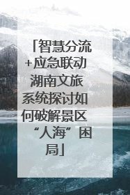 智慧分流+应急联动 湖南文旅系统探讨如何破解景区“人海”困局