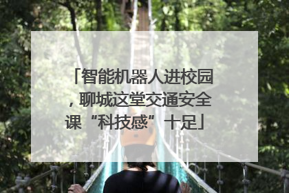 智能机器人进校园，聊城这堂交通安全课“科技感”十足