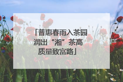 普惠春雨入茶园 润出“湘”茶高质量致富路
