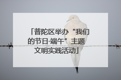 普陀区举办“我们的节日·端午”主题文明实践活动