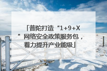 普陀打造“1+9+X”网络安全政策服务包，着力提升产业能级