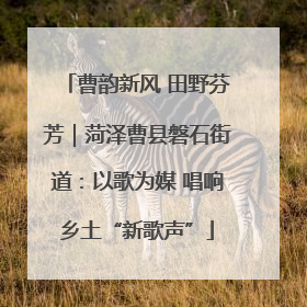 曹韵新风 田野芬芳｜菏泽曹县磐石街道：以歌为媒 唱响乡土“新歌声”