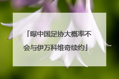 曝中国足协大概率不会与伊万科维奇续约