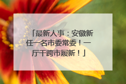 最新人事：安徽新任一名市委常委！一厅干跨市履新！