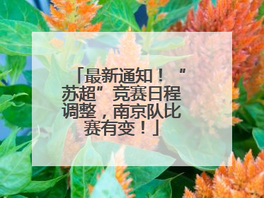 最新通知！“苏超”竞赛日程调整，南京队比赛有变！