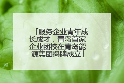 服务企业青年成长成才，青岛首家企业团校在青岛能源集团揭牌成立