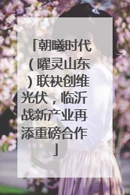 朝曦时代（曜灵山东）联袂创维光伏，临沂战新产业再添重磅合作