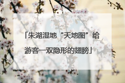 朱湖湿地“天地图”给游客一双隐形的翅膀