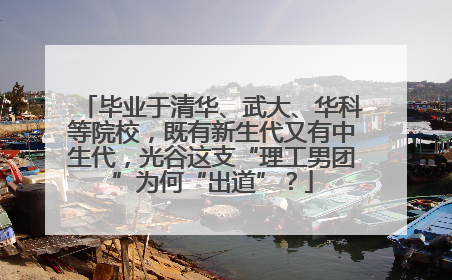 毕业于清华、武大、华科等院校，既有新生代又有中生代，光谷这支“理工男团”为何“出道”？