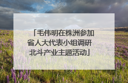 毛伟明在株洲参加省人大代表小组调研北斗产业主题活动