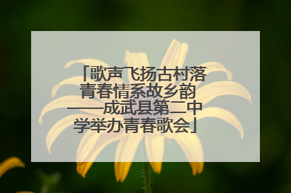 歌声飞扬古村落 青春情系故乡韵——成武县第二中学举办青春歌会